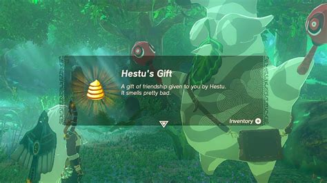 hestu gift.